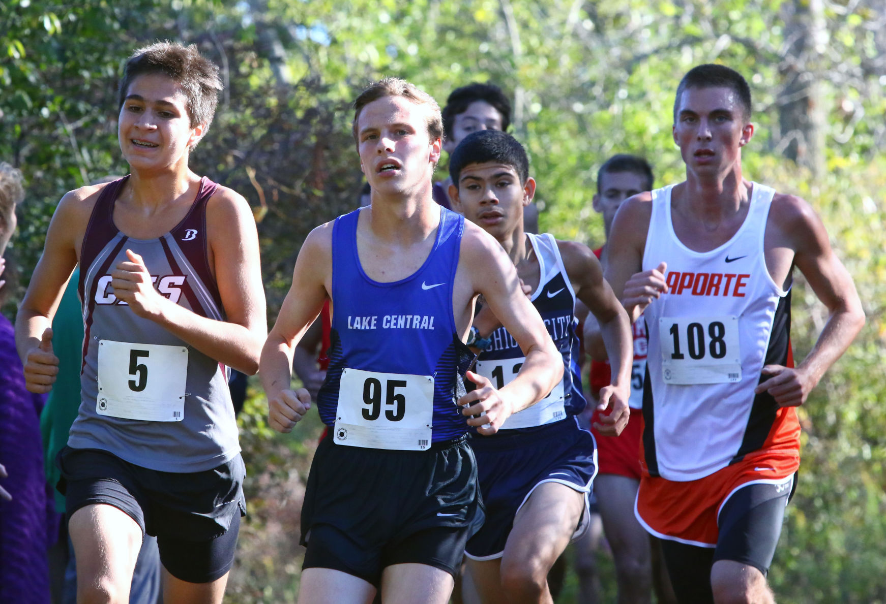 Gallery: Duneland Athletic Conference cross country meet